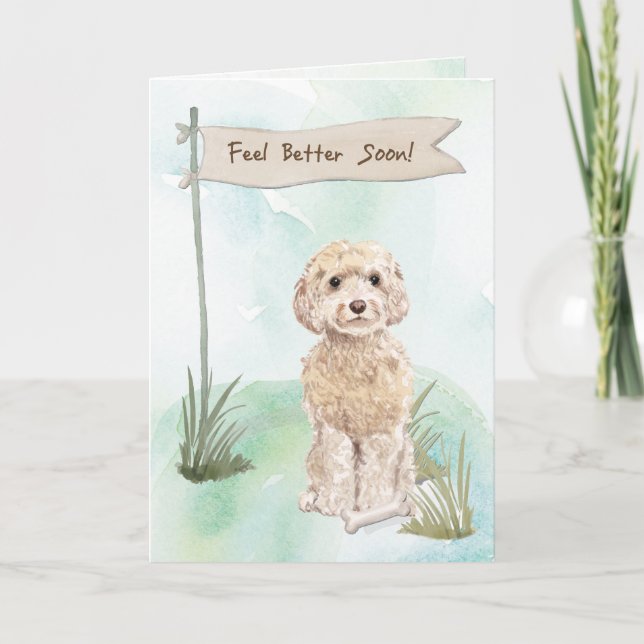 Champagne Cockapoo Feel Better Surgery to Dog Card (Front)