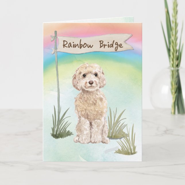 Champagne Cockapoo Pet Sympathy Over Rainbow Card (Front)