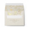 Champagne Gold Wedding Envelope