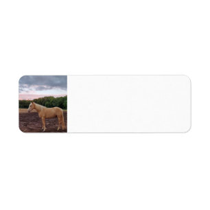 Champagne Horse Return Address Label