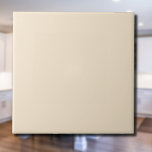 Champagne Metallic Solid Colour | Classic Elegant Ceramic Tile<br><div class="desc">Champagne Metallic - Introducing the timeless allure of the Solid Colour Design: a captivating blend of classic form and elegant simplicity. This design is a celebration of the power and beauty found in a single, striking hue. Exuding sophistication, the solid colour design embraces the essence of minimalism, making it a...</div>