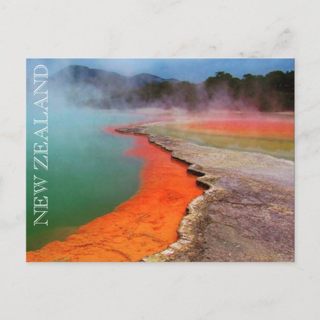 champagne pool new zealand postcard (Front)