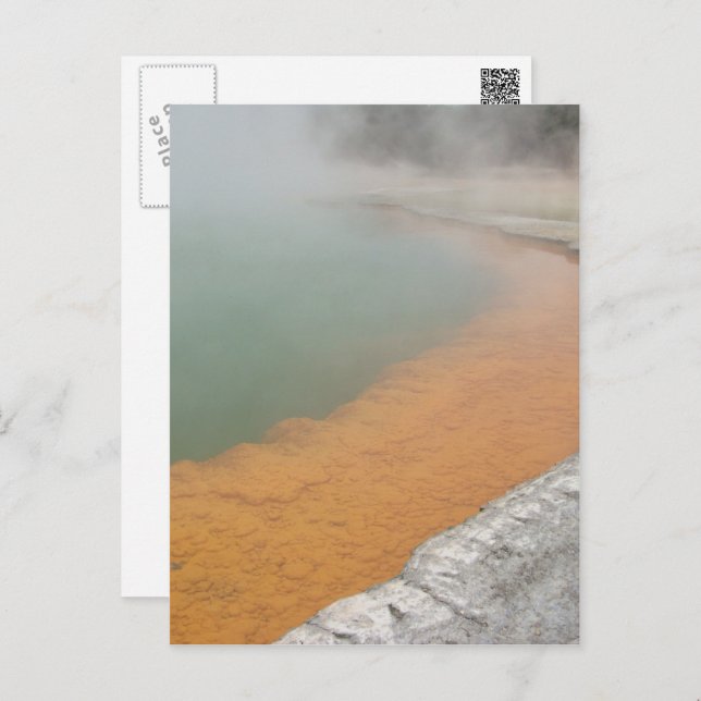 Champagne Pool Postcard (Front/Back)