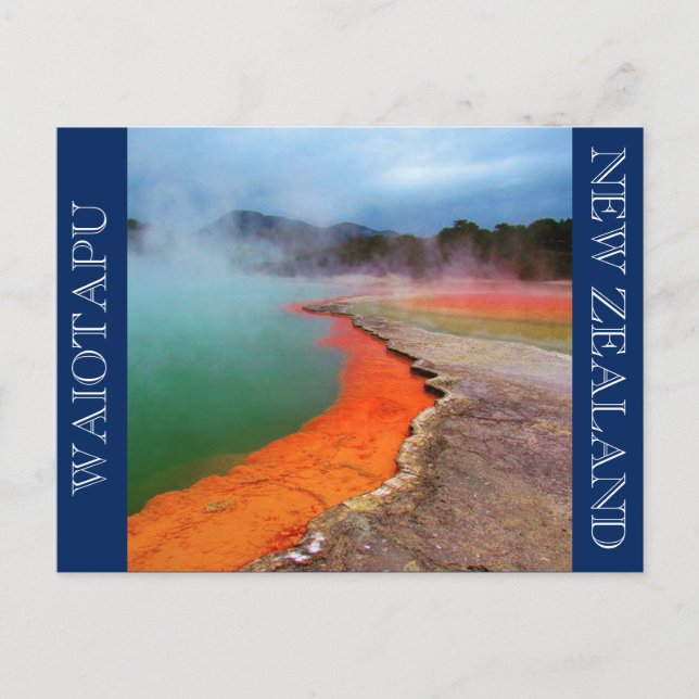 champagne pool postcard (Front)