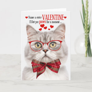 Champagne Tabby Cat Lover Valentine Feline Humour Holiday Card