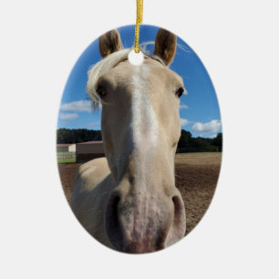 Champagne Tennessee Walking Horse ornament