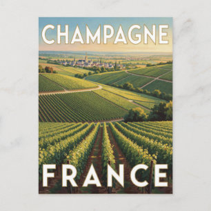 Champagne Wine Region France Rolling Vineyards Postcard