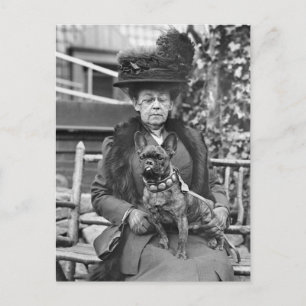 Champion French Bulldog, 1920s Postcard