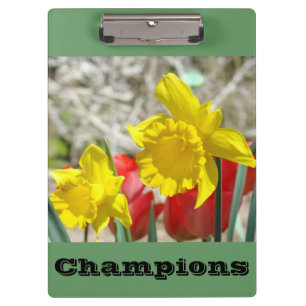 Champions clip boards Daffodils Flowers