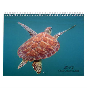 Chan Chemuyil Underwater Calendar