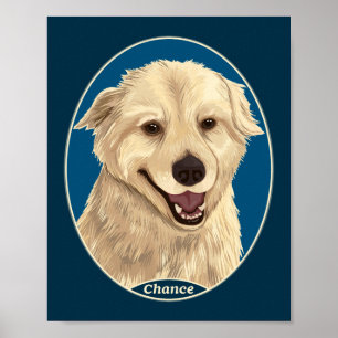 Chance Poster