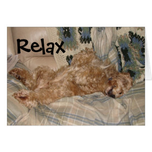Chance Relax