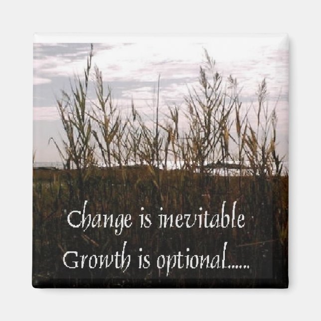 Change is inevitable magnet (Front)
