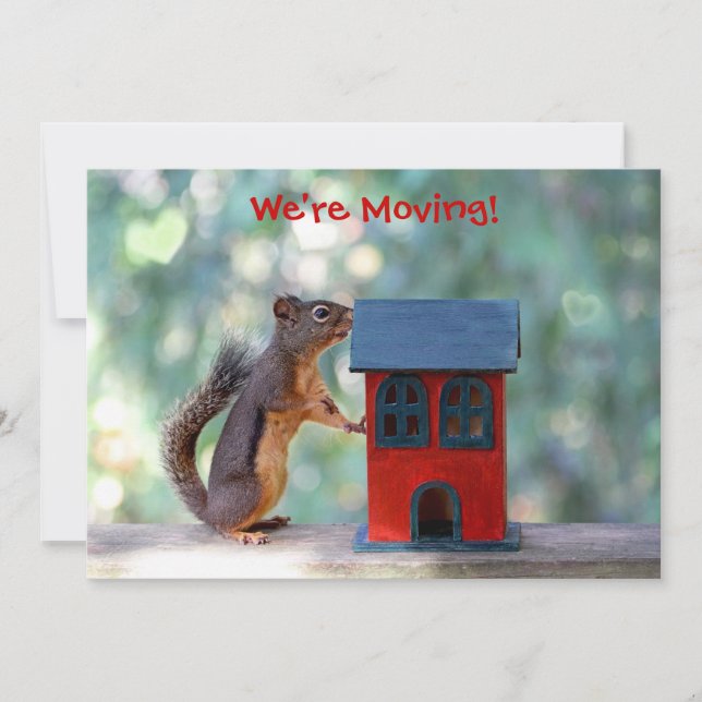 Change of Address/Housewarming Party Squirrel Invitation (Front)