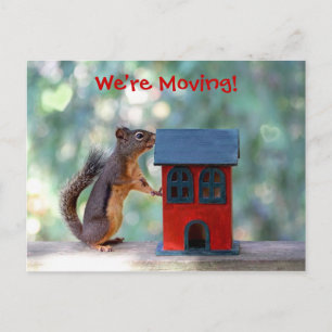 Change of Address Moving Announcement Squirrel Postcard