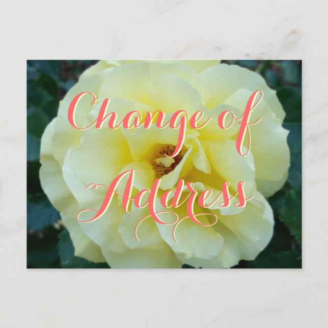 Change of address postcard with rose flower photo (Front)