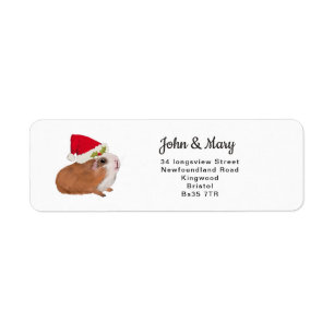 Change of Address sticker christmas guinea pig