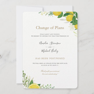 Change of Plans postponed wedding invitation