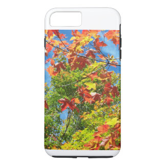 Changing Leaves Nature Ipod Case