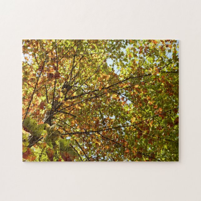 Changing Maple Tree Green and Gold Fall Colour Jigsaw Puzzle (Horizontal)
