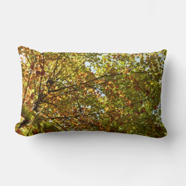 Changing Maple Tree Green and Gold Fall Colour Lumbar Cushion (Front)
