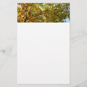 Changing Maple Tree Green and Gold Fall Colour Stationery