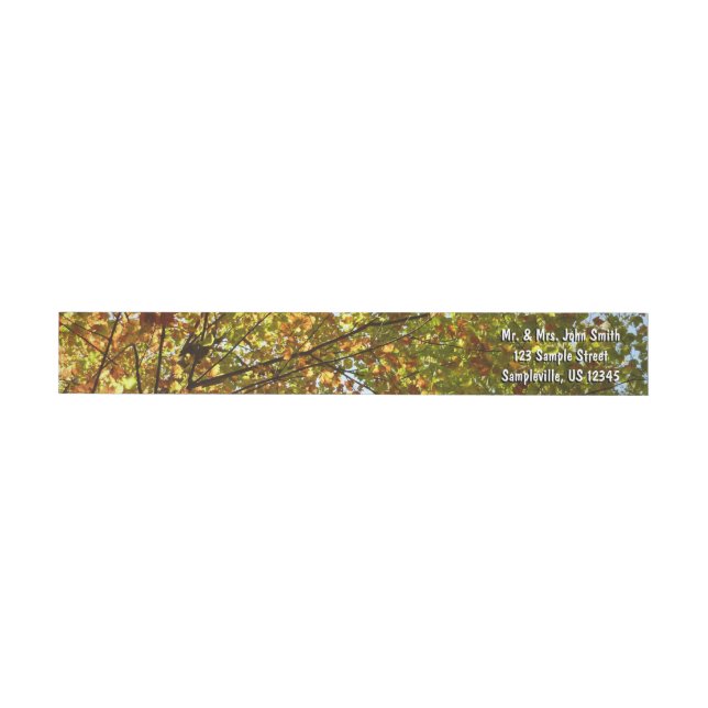 Changing Maple Tree Green and Gold Fall Colour Wrap Around Label (Individual)