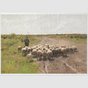Changing Pasture, 1887 by Anton Mauve Tissue Paper