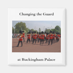 Changing the Guard Magnet