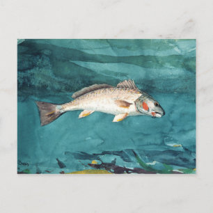 Channel Bass American Painting by Homer Postcard