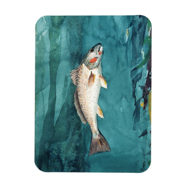 Channel Bass Fish American Painting by Homer Magnet (Vertical)