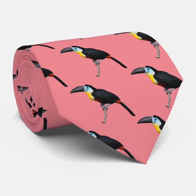 Channel-billed Toucan Tie (Rolled)