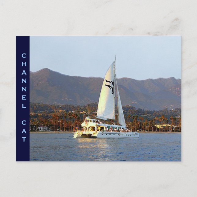Channel Cat at Sunset Postcard (Front)