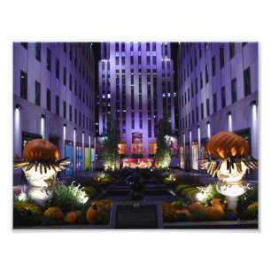 Channel Gardens Fifth Avenue New York City NYC Photo Print