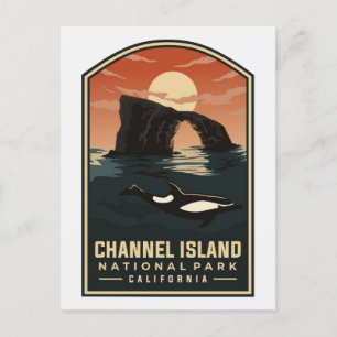 Channel Islands National Park California Vintage Postcard
