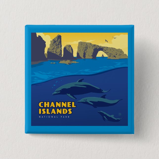 Channel Islands National Park Dolphins 15 Cm Square Badge (Front)