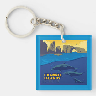 Channel Islands National Park Dolphins Key Ring