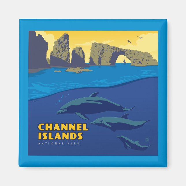 Channel Islands National Park Dolphins Magnet (Front)