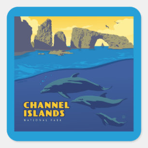 Channel Islands National Park Dolphins Square Sticker