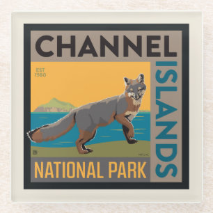 Channel Islands National Park   Fox Glass Coaster