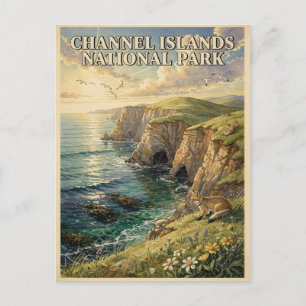 Channel Islands National Park Island Fox Travel Postcard