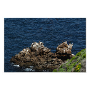 Channel Islands National Park  Photo Print