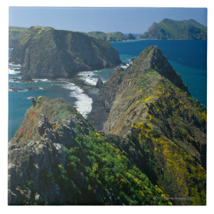 Channel Islands National Park, Southern Ceramic Tile