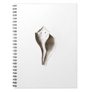 Channeled Whelk (line art) Notebook