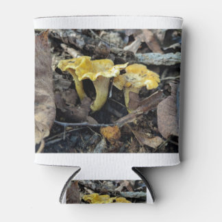 Chanterelle,Cantharellus cibarius Can Cooler