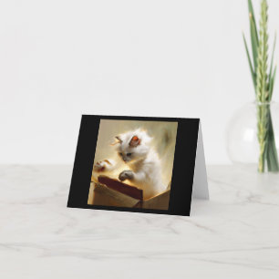 Chantilly-Tiffany Cat  Card