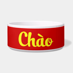 Chào / Hello ~ Vietnam / Vietnamese / Tiếng Việt