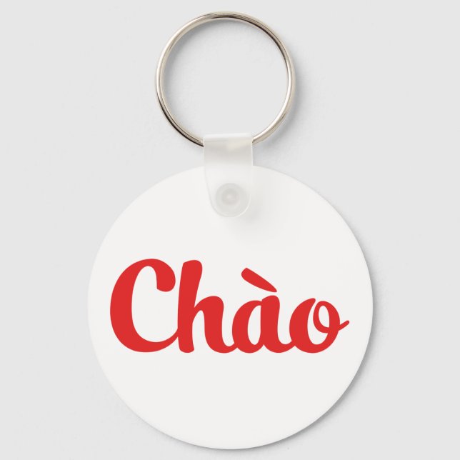 Chào / Hello ~ Vietnam / Vietnamese / Tiếng Việt Key Ring (Front)