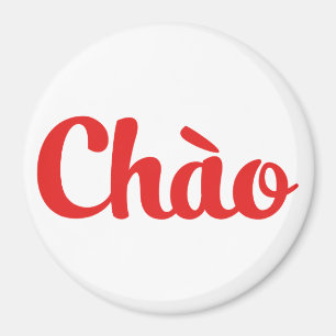Chào / Hello ~ Vietnam / Vietnamese / Tiếng Việt Magnet