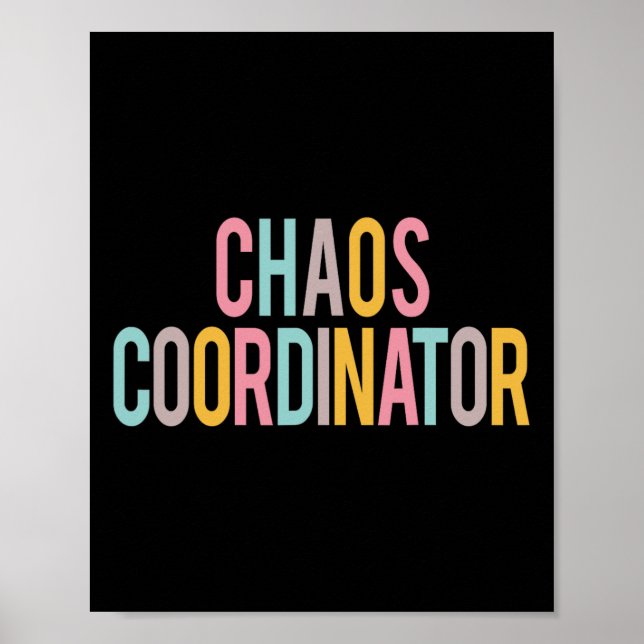 Chaos Coordinator Colourful Appreciation Day Back  Poster (Front)